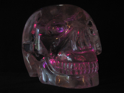 Amar Skull